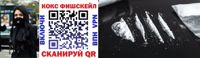 COCAIN Fish Scale  Гай 