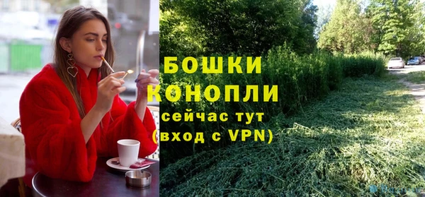 шишки Армянск