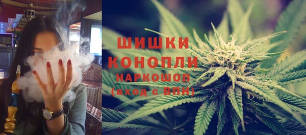 шишки Армянск